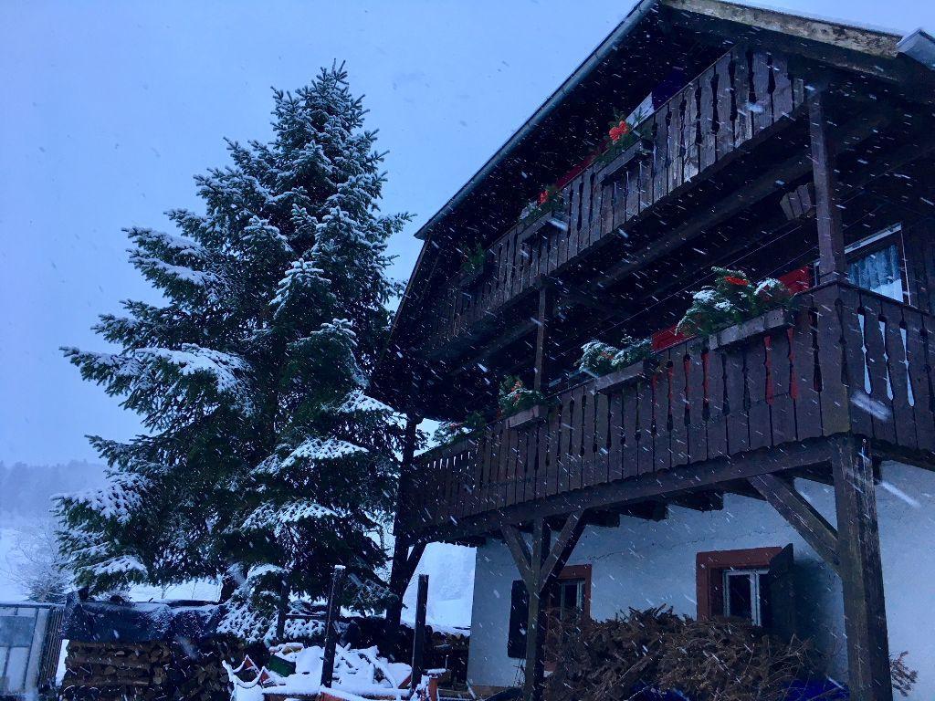 Mattenhof Zell am Harmersbach Exterior photo
